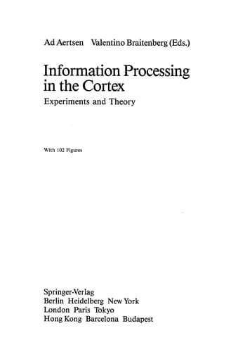 Tapa de Information Processing in the Cortex