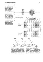 Tapa de Sovremennaâ genetika