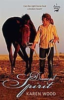 Tapa de Diamond Spirit (Diamond Spirit #1)