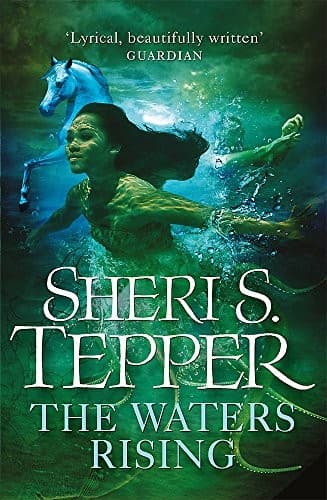Tapa de Waters Rising