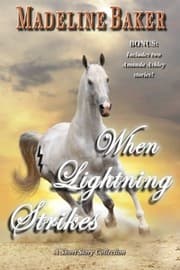 Tapa de When Lightning Strikes: A Short Story Collection