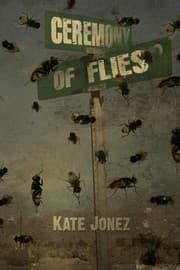 Tapa de Ceremony of Flies