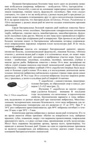 Tapa de Parazity i bolezni morskikh i okeanicheskikh ryb v prirodnykh i iskusstvennykh uslovii͡a