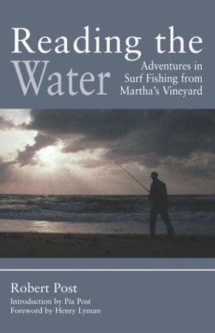 Tapa de Reading the water