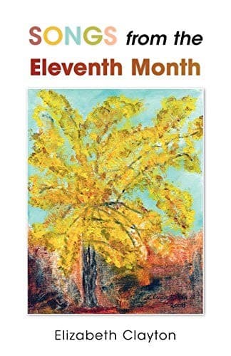 Tapa de Songs from the Eleventh Month