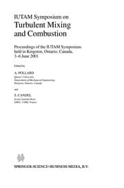 Tapa de IUTAM Symposium on Turbulent Mixing and Combustion