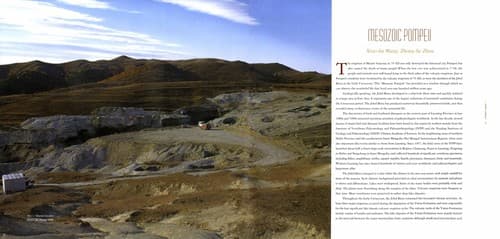 Tapa de The Jehol fossils