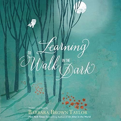 Tapa de Learning to Walk in the Dark