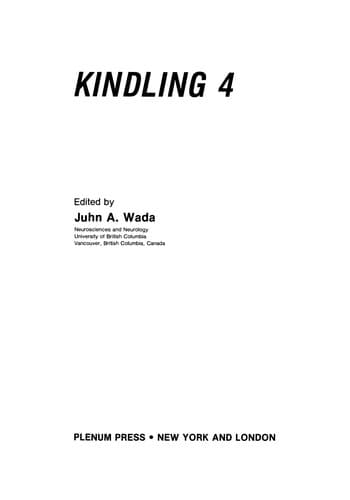 Tapa de Kindling 4