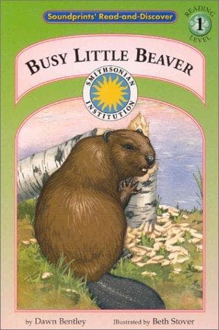Tapa de Busy little beaver