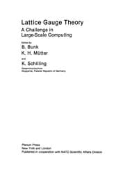 Tapa de Lattice Gauge Theory