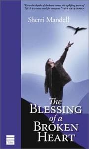 Tapa de The blessing of a broken heart