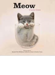 Tapa de Meow