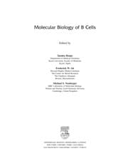 Tapa de Molecular biology of B cells