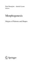 Tapa de Morphogenesis