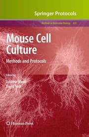 Tapa de Mouse cell culture