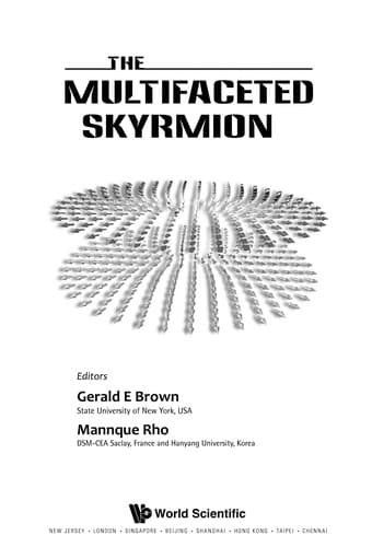 Tapa de The multifaceted skyrmion