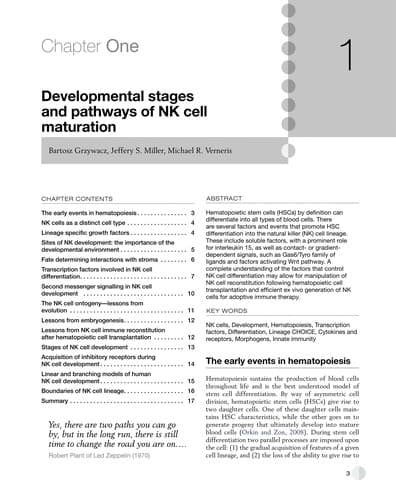Tapa de Natural Killer Cells