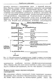Tapa de Nejrohimiâ