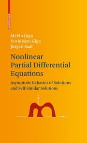 Tapa de Nonlinear partial differential equations