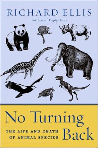 Tapa de No turning back
