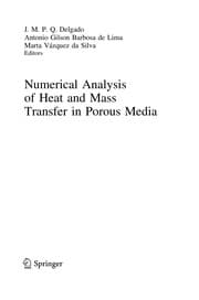 Tapa de Numerical Analysis of Heat and Mass Transfer in Porous Media