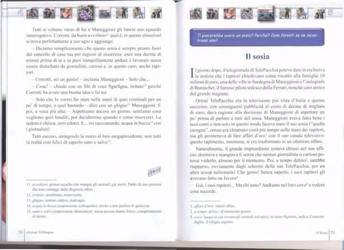 Tapa de Il sosia