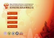 Tapa de Proceedings of the 20th International Conference on Fluidized Bed Combustion