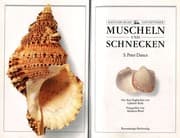 Tapa de Muscheln und Schnecken