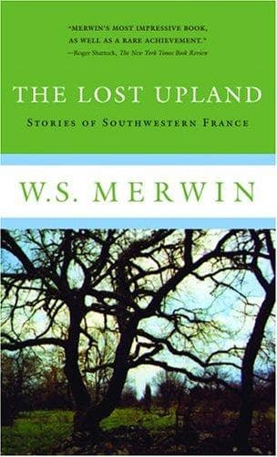 Tapa de The lost upland