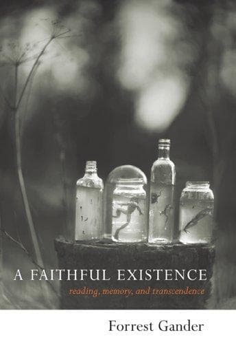Tapa de A faithful existence