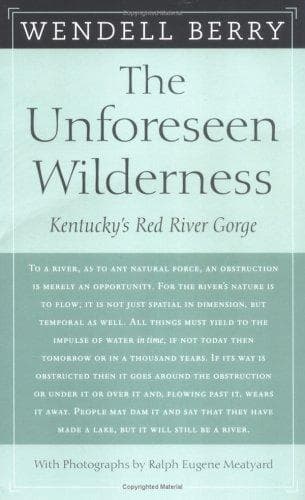 Tapa de The unforeseen wilderness