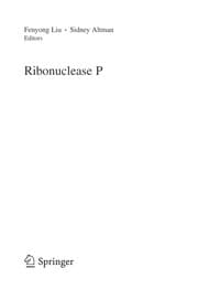 Tapa de Ribonuclease P