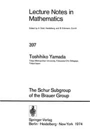 Tapa de The Schur subgroup of the Brauer group
