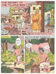 Tapa de The secret of the talking bird