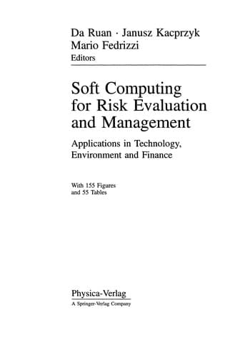 Tapa de Soft computing for risk evaluation and management