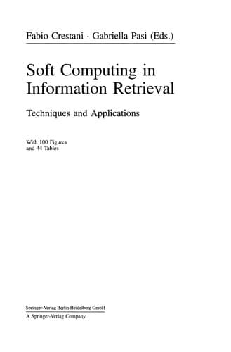 Tapa de Soft Computing in Information Retrieval