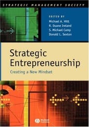Tapa de Strategic entrepreneurship