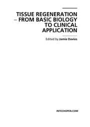 Tapa de Disinfection of Human Tissues in Orthopedic Surgical Oncology by High Hydrostatic Pressure