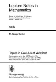 Tapa de Topics in calculus of variations