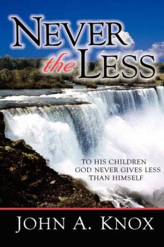 Tapa de Never the Less
