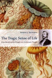 Tapa de The Tragic Sense of Life