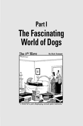 Tapa de Understanding your dog for dummies