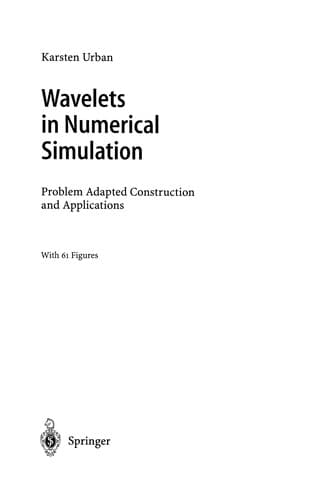 Tapa de Wavelets in numerical simulation