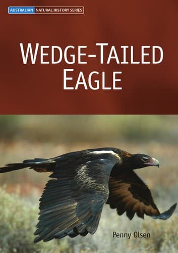 Tapa de Wedge-tailed eagle