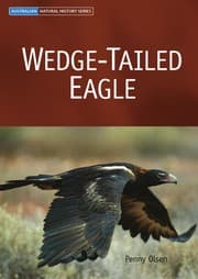 Tapa de Wedge-tailed eagle