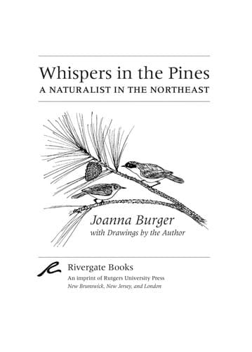 Tapa de Whispers in the pines