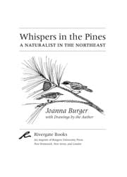 Tapa de Whispers in the pines