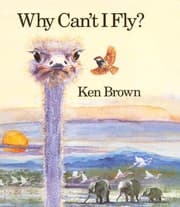 Tapa de Why can't I fly?
