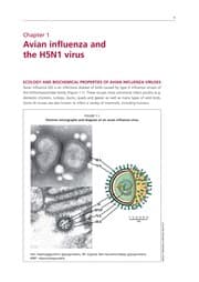 Tapa de Wild birds and avian influenza